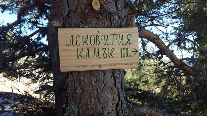 Отель Complex Pele Zmeitsa Экстерьер фото
